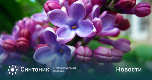 news_syntonic_25042024