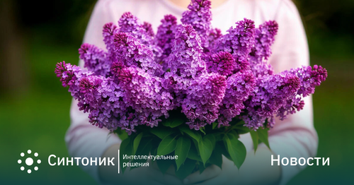 График работы в праздничные дни мая