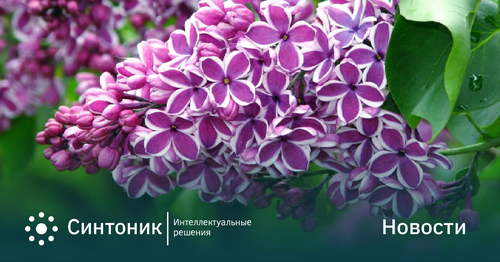 График работы май 2025